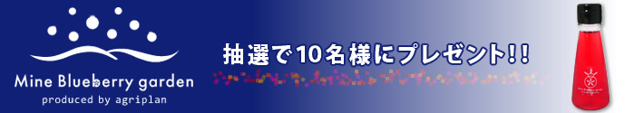 ブルーベリーヴィネガー黒酢入り（試供品）をプレゼント